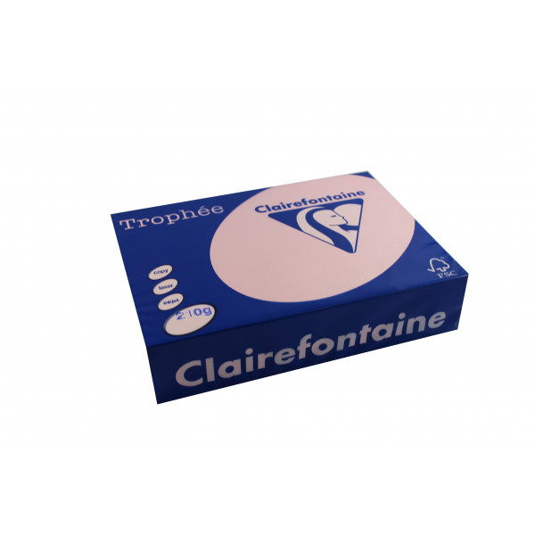 250 feuilles A4 - 210g - Couleur pastels - Rose - Trophée Clairefontaire