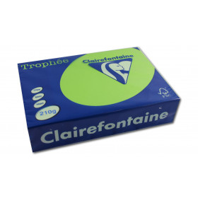 250 feuilles A4 - 210g - Couleur vives - Vert menthe - Trophée Clairefontaire