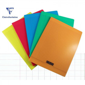 Lot 10 Cahiers Polypro 24X32 96P Grands Carreaux Seyes Assortiment Calligraphe | à seulement 12,9 €