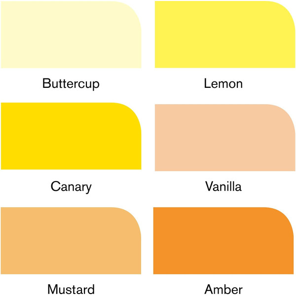 promarker-tons-jaunes-6-feutres-winsor-et-newton-couleurs-détaillées