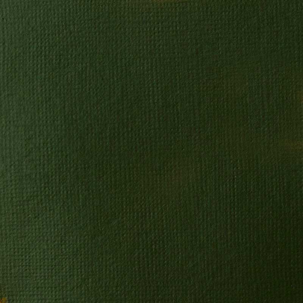 Pot de Peinture Liquitex Acrylique Basics 946ml Vert De Hooker Permanent Imitation