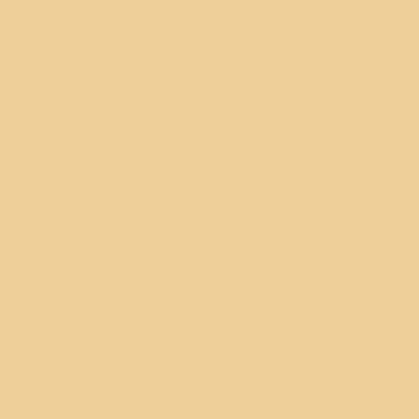 Bombe de peinture Hardcore MTN - Marron druide | Surdiscount