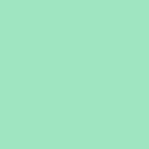 Bombe de peinture Hardcore MTN - Vert max | Surdiscount