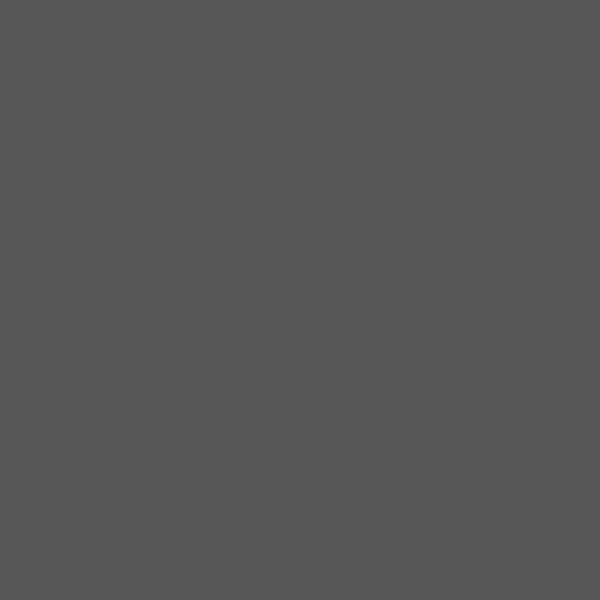 Bombe de peinture Hardcore MTN - Gris spoutnik | Surdiscount