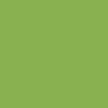 Bombe de peinture Hardcore MTN - Vert guacamole | Surdiscount