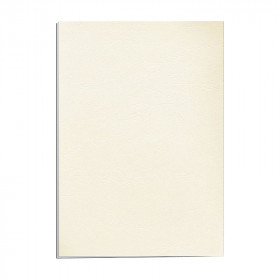 couverture-reliure-grain-cuir-ivoire-fellowes-détail