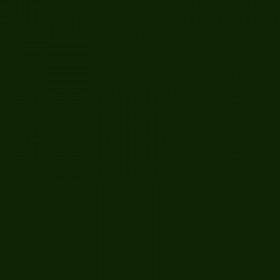 Bombe de peinture Hardcore MTN - Vert amazone | Surdiscount