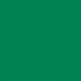 Bombe de peinture Hardcore MTN - Vert foncé | Surdiscount