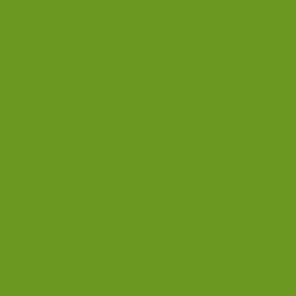 Bombe de peinture Hardcore MTN - Vert vallée | Surdiscount
