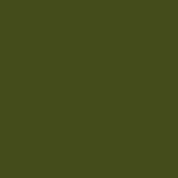 Bombe de peinture - jungle - Amt | Surdiscount