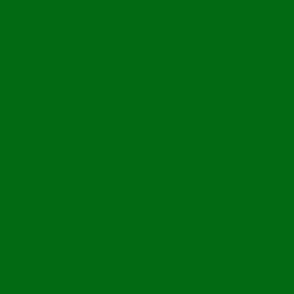 Bombe de peinture - vert pin - Sinto | Surdiscount