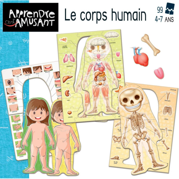 Jeu - Apprendre le corps humain en s'amusant - Pour enfant dès 4 ans - Educa