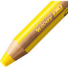 15 crayons de couleur - STABILO Woody 3 en 1 - Taille-crayon + pot de rangement