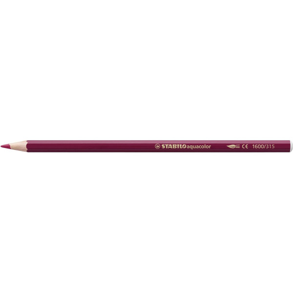 Crayons de couleur - Aquarellable - STABILOaquacolor - Arty - 12 couleurs