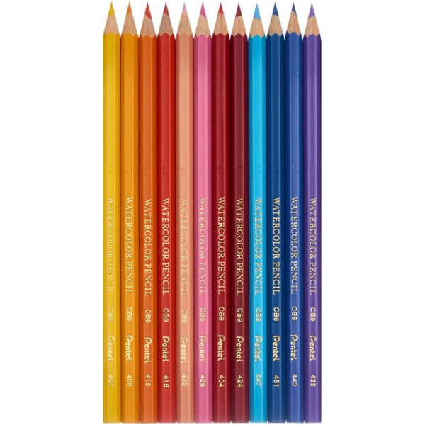 photo - 12 crayons de couleur - Aquarellable - Pentel Arts