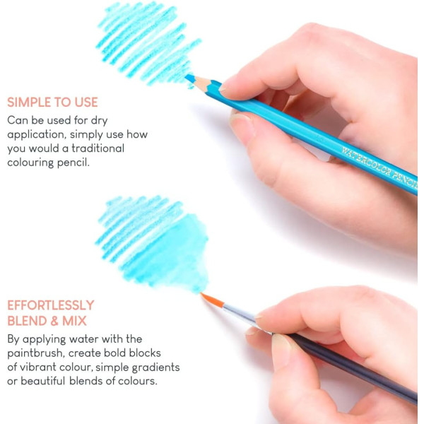 12 crayons de couleur - Aquarellable - Pentel Arts