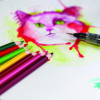 24 crayons de couleur - Aquarellable - Pentel Arts