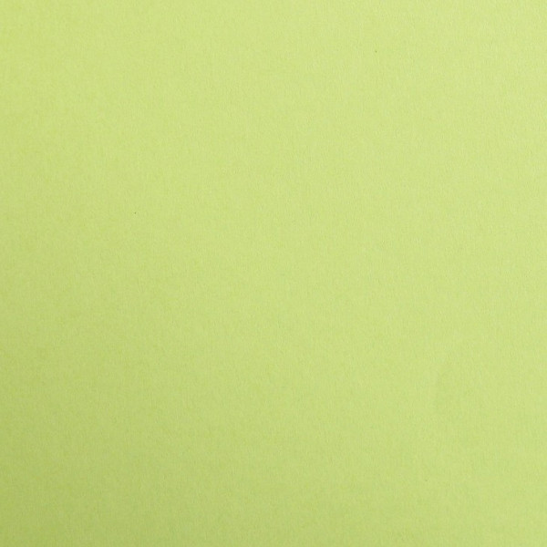 25 feuilles de papier - Vert mousse - A4 - 270g - Lisse - Dessin, loisirs créatifs - Maya