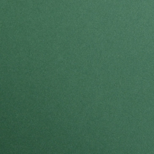 25 feuilles de papier - Vert antique - A4 - 270g - Lisse - Dessin, loisirs créatifs - Maya