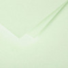 Enveloppes - Carré - 140x140mm - Pollen - Vert - 20 unités - Clairefontaine