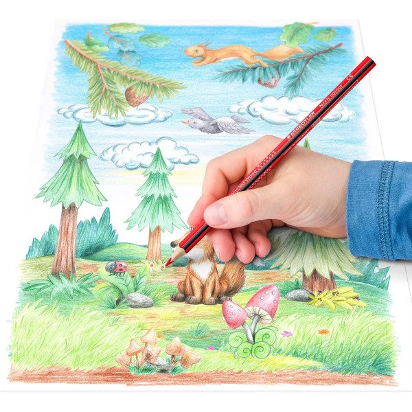 36 crayons de couleur - Forme triangulaire - Fabriqué en bois recyclé - Staedtler - Noris colour  187
