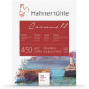 photo - Bloc - Aquarelle - 30x40cm - 450g - 10 feuilles - Grain fin - Hahnemühle - Cornwall