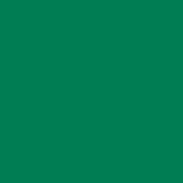 Lot de 3 recharges FriXion pointe moyenne 0,7mm vert Pilot | Artmania