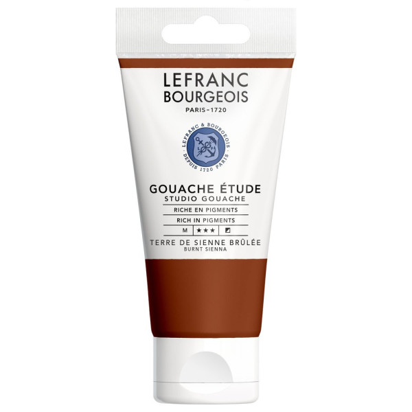 photo-Gouache - Etude - Terre Sienne - 481 - Lefranc Bourgeois - Studio Gouache - 80ml
