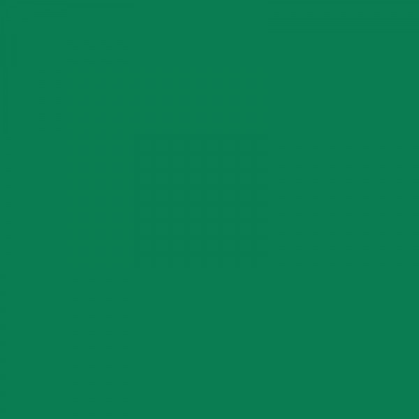 Stylo FriXion Point pointe fine 0,5mm vert Pilot | Artmania