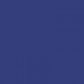 Stylo roller Hi-Tecpoint V5 pointe fine bleu Pilot | Artmania
