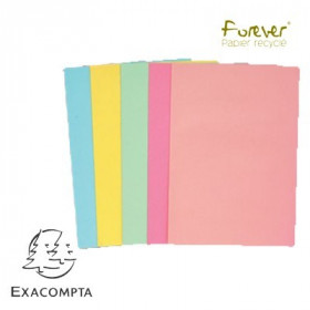 Lot De 250 Sous-Chemises 60G 5 Teintes Pastel - Exacompta | Artmania-255