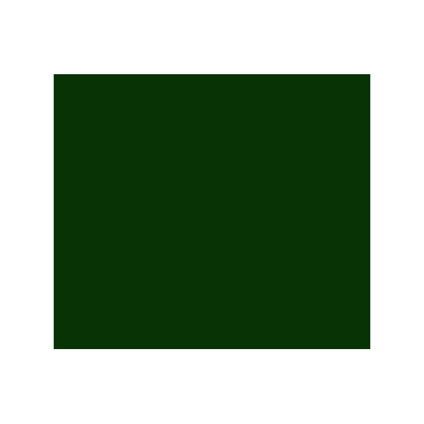 Peinture acrylique - Vert Hooker - 809 - Abstract - Sennelier - Tube 60ml
