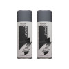 Lot de 2 bombes de peinture - gris ciment - AMT pas cher-26150
