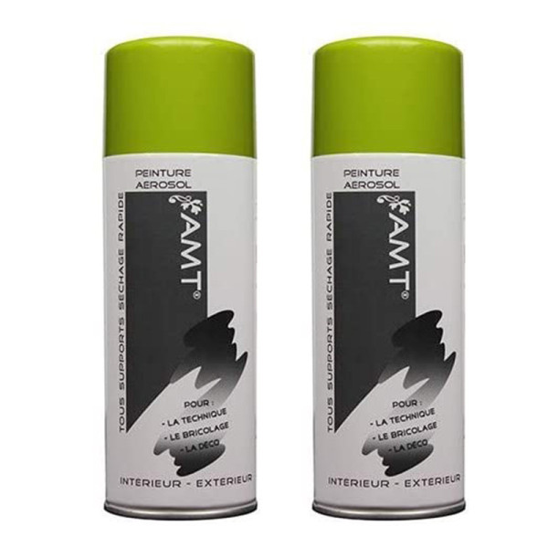 Lot de 2 bombes de peinture - vert anis - AMT pas cher-26244