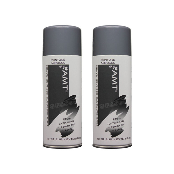 Lot de 2 bombes de peinture - gris ciment - AMT pas cher-26266