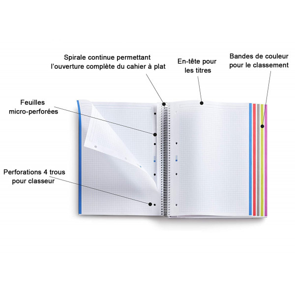 Cahier A4 spirales couverture plastique vert 120 pages petits carreaux Miquelrius | Artmania