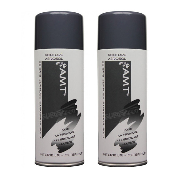 Lot de 2 bombes de peinture - ardoise - AMT pas cher-26287