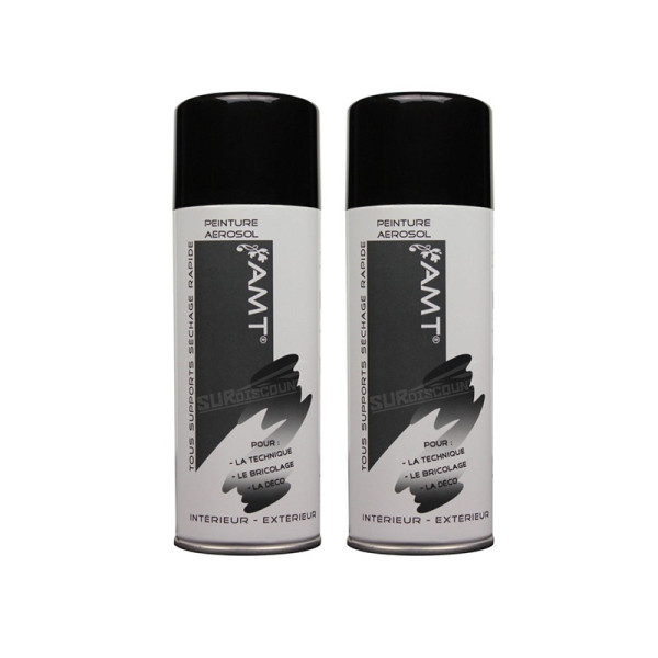 Lot de 2 bombes de peinture - noire brillant - AMT | Artmania-26366