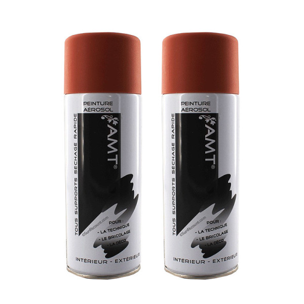 peinture-aerosol-amt-blush-mat