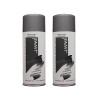 Lot de 2 bombes de peinture - gris métallisé - AMT pas cher-26406