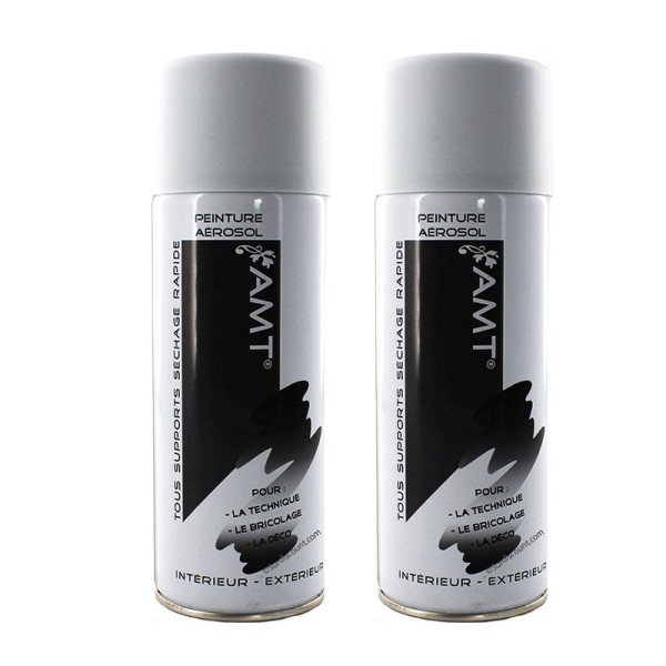 peinture-aerosol-amt-galet-mat