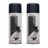 peinture-aerosol-peinture-en-spray-amt-tous-supports-ardoise-metallise