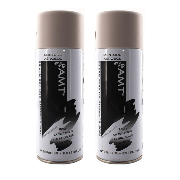 peinture-aerosol-amt-gris-clair-mat