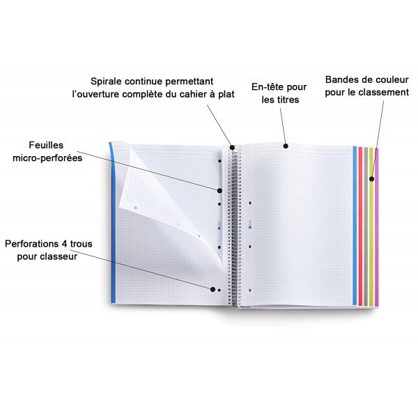 Cahier A4 spirales couverture carton rouge 120 pages petits carreaux Miquelrius | Artmania