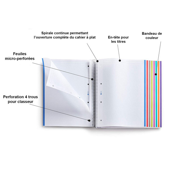 Cahier A4 spirales couverture plastique noir 200 pages petits carreaux Miquelrius | Artmania