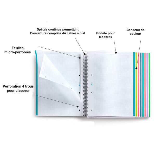 Cahier A4 spirales couverture plastique vert citron 160 pages petits carreaux Miquelrius | Artmania