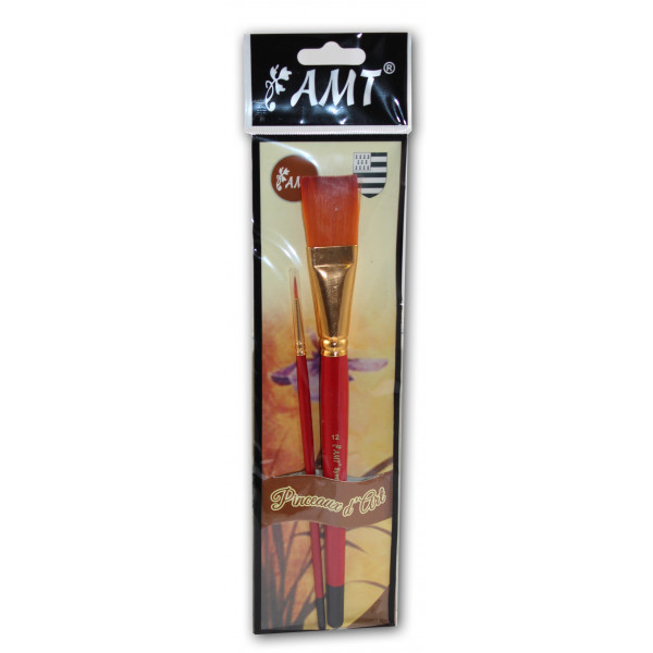 Lot de 2 pinceaux d'Art - Plat n°12 - Rond n°2 - AMT
