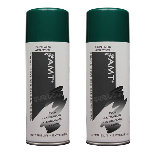 Lot de 2 bombes de peinture - vert jardin - AMT pas cher-27211
