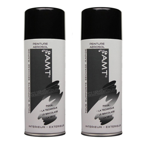 Lot de 2 bombes de peinture - noire brillant - AMT pas cher-27217