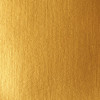 Peinture Acrylique en bidon - or - Liquitex Basics | Artmania